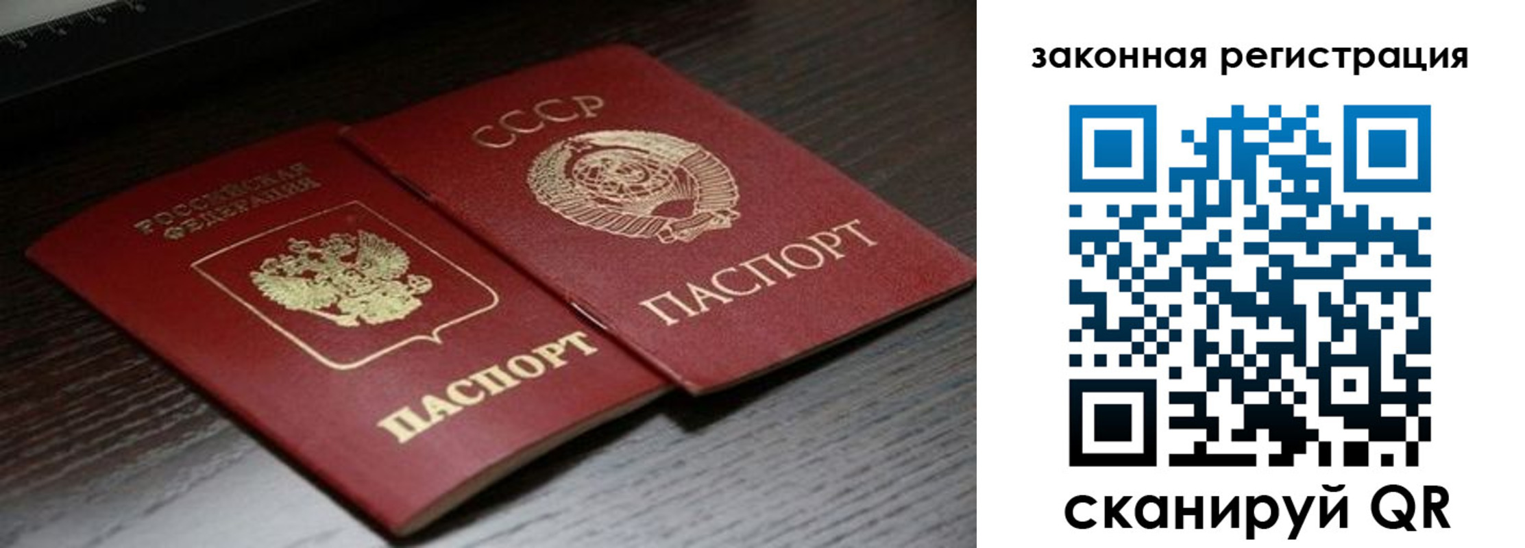 прописка поиск в Высоковске